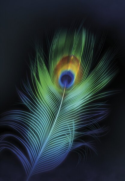 Obraz na plátně Peacock Eye