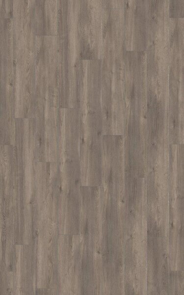 Laminátová podlaha Eurowood PURUS 8mm Dub STŘÍBRNÝ D6013 V4