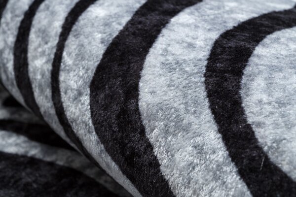 Dywany Łuszczów, Kusový koberec Miro 51331.803 Zebra black / white, 80x150, černobílá, chodba / předsíň