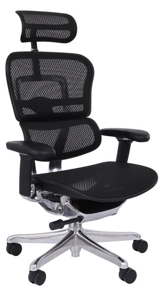 Kancelářská židle Ergohuman 2 Elite ST BS black