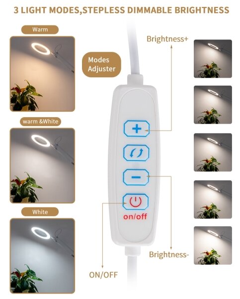 Brilagi - LED Stmívatelná stolní lampa s lupou LED/12W/5V 3000/4200/6000K bílá