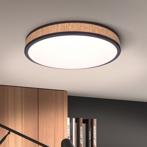 Brilagi - LED Stmívatelné stropní svítidlo ROSA LED/48W/230V 3000-6500K + DO