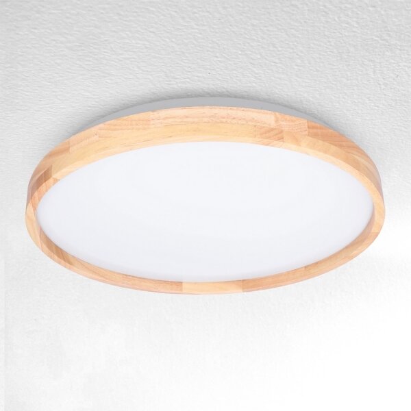 Brilagi - LED Stmívatelné stropní svítidlo ALSON LED/48W/230V 3000-6500K + DO