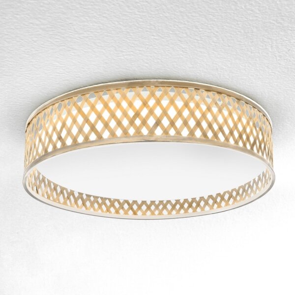 Brilagi - LED Stmívatelné stropní svítidlo CAMILA LED/48W/230V 3000-6500K + DO