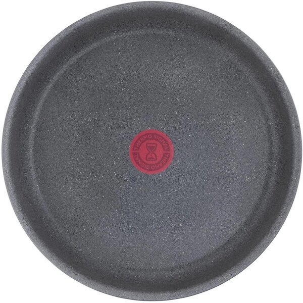 Tefal - Sada nádobí 5 ks INGENIO NATURAL FORCE