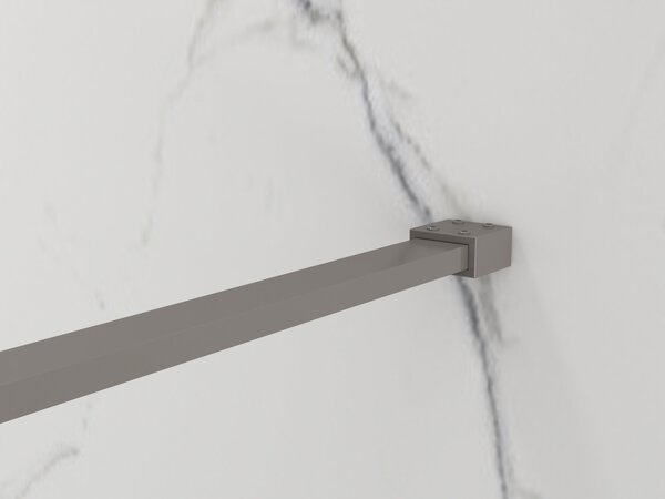 Erga Paris, sprchová zástěna Walk-In 50x200 cm, 8mm čiré sklo, grafitový profil, ERG-V02-PARIS-050x200-CL-GG