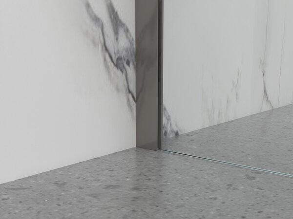 Erga Paris, sprchová zástěna Walk-In 50x200 cm, 8mm čiré sklo, grafitový profil, ERG-V02-PARIS-050x200-CL-GG