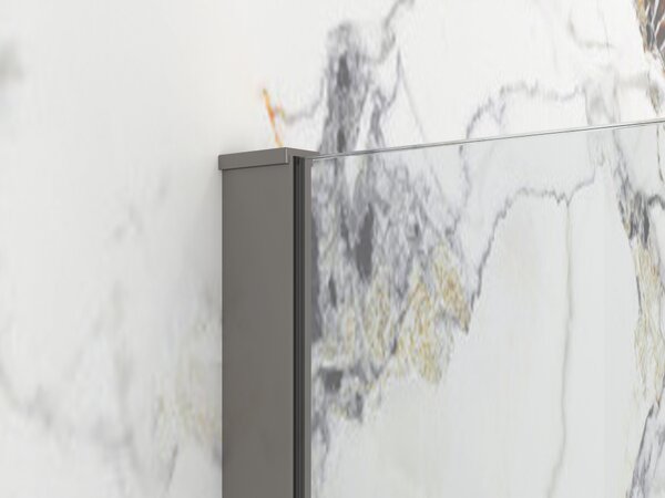 Erga Paris, sprchová zástěna Walk-In 50x200 cm, 8mm čiré sklo, grafitový profil, ERG-V02-PARIS-050x200-CL-GG