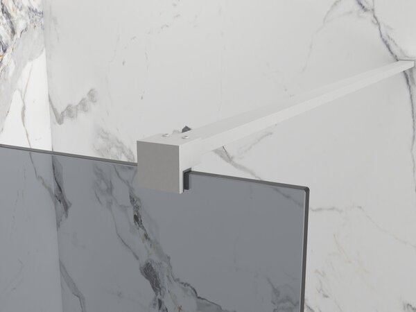 Erga Paris, sprchová zástěna Walk-In 30x200 cm, 8mm šedé sklo, broušená ocel, ERG-V02-PARIS-030x200-GR-BS