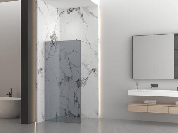 Erga Paris, sprchová zástěna Walk-In 30x200 cm, 8mm šedé sklo, broušená ocel, ERG-V02-PARIS-030x200-GR-BS