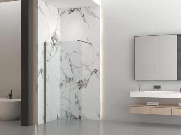 Erga Paris, sprchová zástěna Walk-In 50x200 cm, 8mm čiré sklo, grafitový profil, ERG-V02-PARIS-050x200-CL-GG