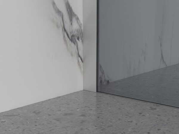 Erga Paris, sprchová zástěna Walk-In 30x200 cm, 8mm šedé sklo, broušená ocel, ERG-V02-PARIS-030x200-GR-BS