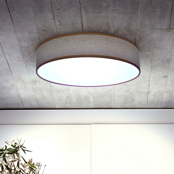Brilagi - LED Stmívatelné stropní svítidlo CARMEN LED/48W/230V 3000-6500K + DO