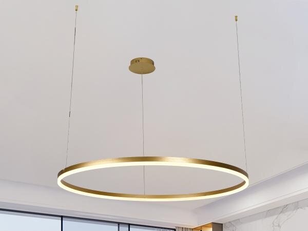 LED Stmívatelný lustr na lanku LED/55W/230V 3000-6500K + dálkové ovládání