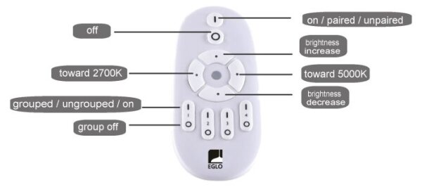 Eglo 75565 - LED Stmívatelný panel BOTAZZO LED/25W/230V 2700-5000K + DO
