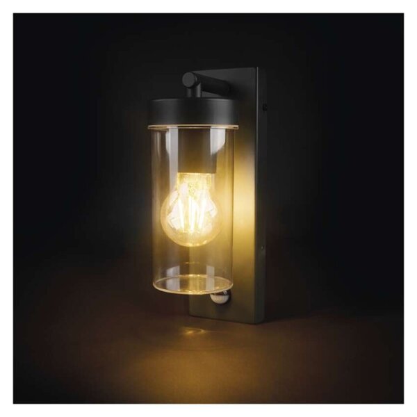 EMOS LED zahradní nástěnné svítidlo s čidlem soumraku, 12,8 x 8 x 27 cm, 1 x E27, 15 W 1554000008