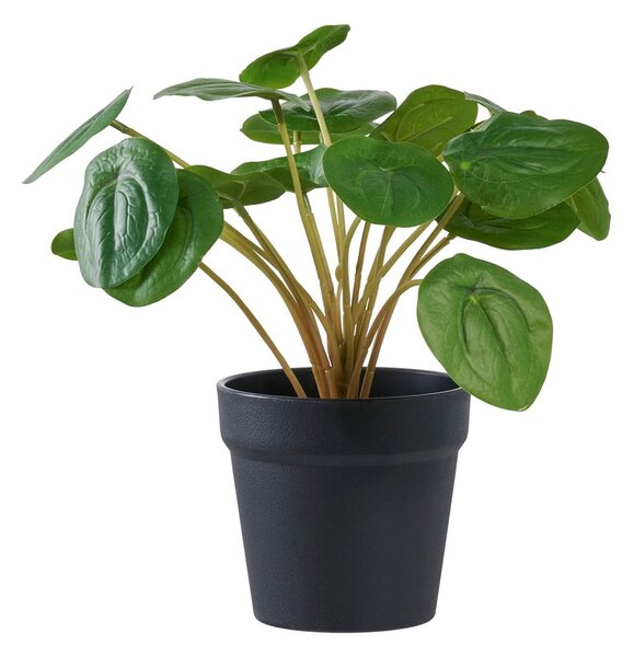 Umělá rostlina (výška 28 cm) Pelia – House Nordic
