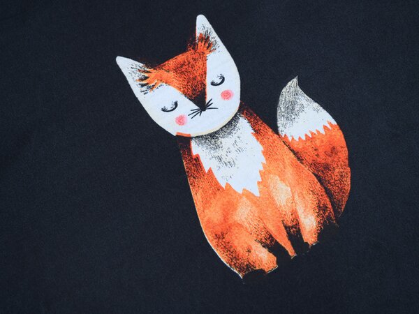Povlečení z mikrovlákna FOXES černé Rozměr povlečení: 2 ks 70 x 80 cm | 160 x 200 cm