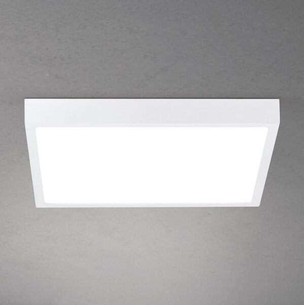 Orion - LED Stm. str. svítidlo DISC LED/30W/230V 2700/3000/4000K 39x39 cm bílá