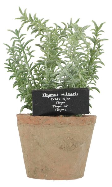 Umělá rostlina (výška 21,5 cm) Thyme – Esschert Design