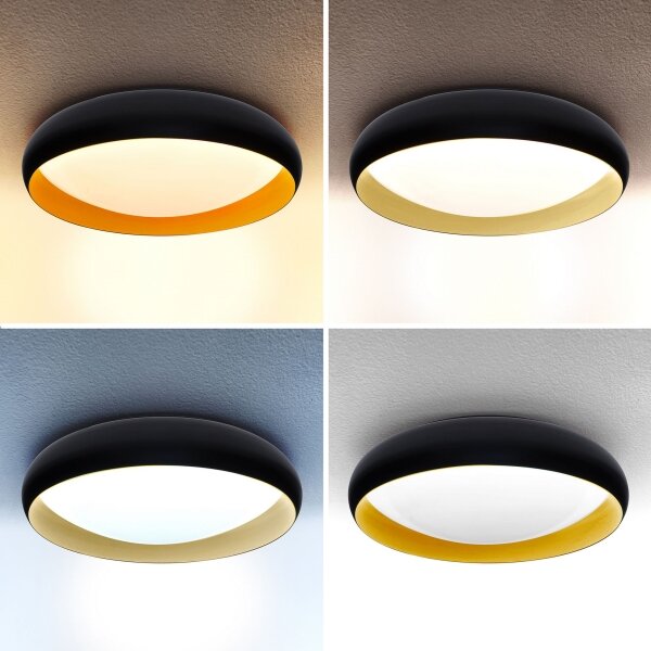 Brilagi - LED Stmívatelné stropní svítidlo LIVIA LED/48W/230V 3000-6500K + DO