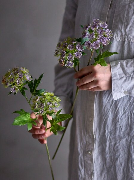 Umělá rostlina (výška 49 cm) Throatwort – Bloomingville