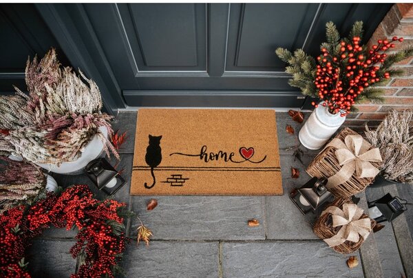 Rohožka z kokosového vlákna 40x70 cm Kitty Home – Hanse Home