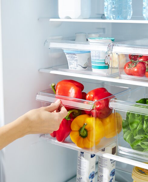 Rotho Organizér do lednice (vestavěné) LOFT FRIDGE - 22x20x15cm