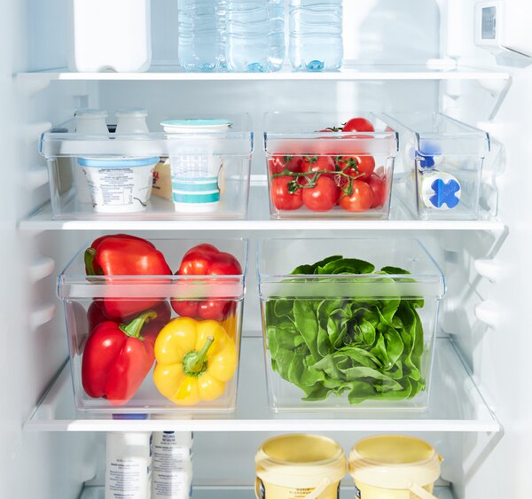 Rotho Organizér do lednice (vestavěné) LOFT FRIDGE - 22x20x15cm