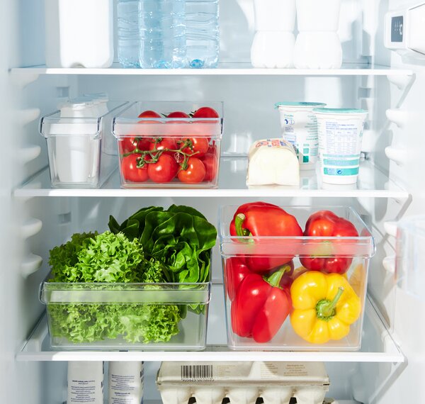 Rotho Organizér do lednice (vestavěné) LOFT FRIDGE - 22x20x15cm