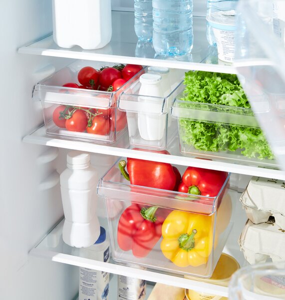 Rotho Organizér do lednice (vestavěné) LOFT FRIDGE - 22x20x15cm