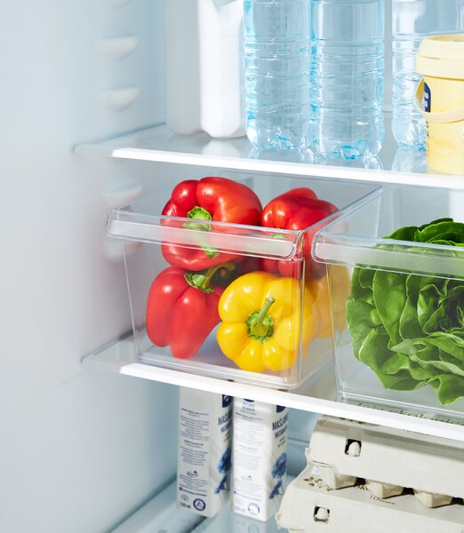 Rotho Organizér do lednice (vestavěné) LOFT FRIDGE - 22x20x15cm