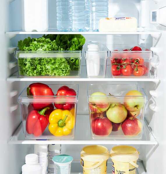 Rotho Organizér do lednice (vestavěné) LOFT FRIDGE - 22x20x15cm