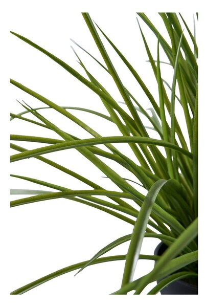 Umělá tráva (výška 45 cm) – House Nordic