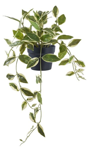 Umělá rostlina (výška 33 cm) Hoya Carnosa – House Nordic