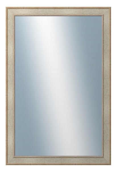 DANTIK - Zarámované zrcadlo - rozměr s rámem cca 80x120 cm z lišty TOOTH stříbrná (2779)