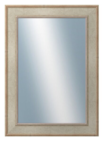 DANTIK - Zarámované zrcadlo - rozměr s rámem cca 50x70 cm z lišty TOOTH stříbrná (2779)