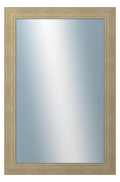 DANTIK - Zarámované zrcadlo - rozměr s rámem cca 40x60 cm z lišty ANDRÉ velká champagne (3158)
