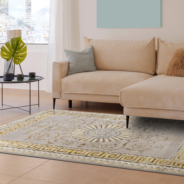 Dywany Łuszczów, Kusový koberec Bliss Z160AZ147 beige/gold, 120x170, béžová, kancelář