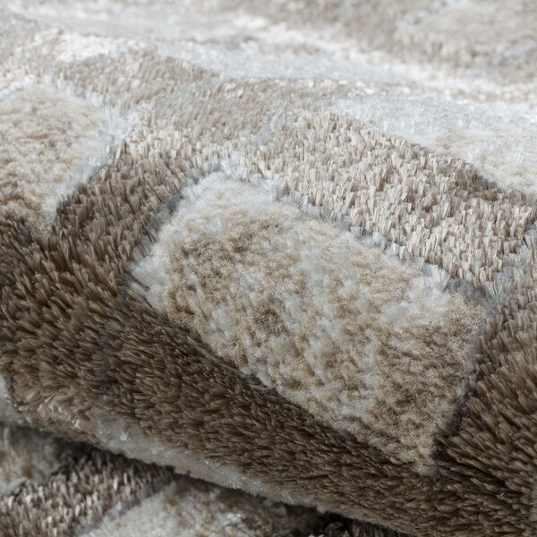 Dywany Łuszczów, Kusový koberec Bliss Z203AZ138 cream/beige, 80x150, béžová, kancelář