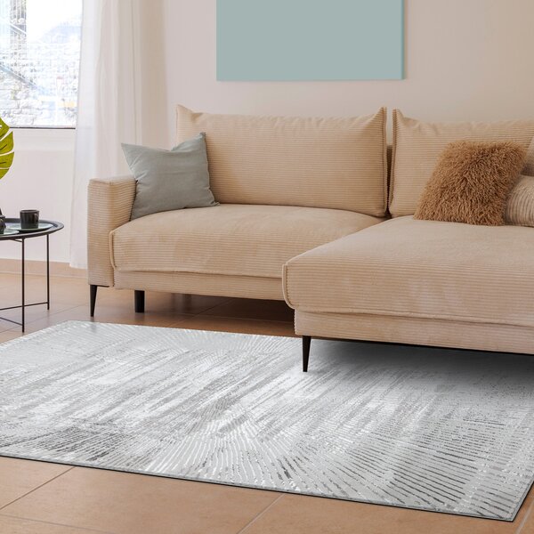 Dywany Łuszczów, Kusový koberec Bliss Z206AZ256 grey, 80x150, šedá, kancelář