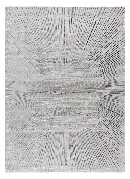 Dywany Łuszczów, Kusový koberec Bliss Z206AZ256 grey, 80x150, šedá, kancelář