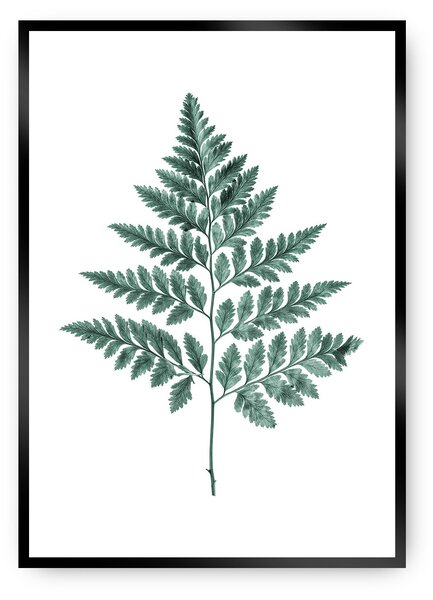 Plakát Fern Emerald Green