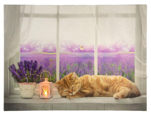 Nástěnná malba Kočka na okně, 1 LED, 30 x 40 cm