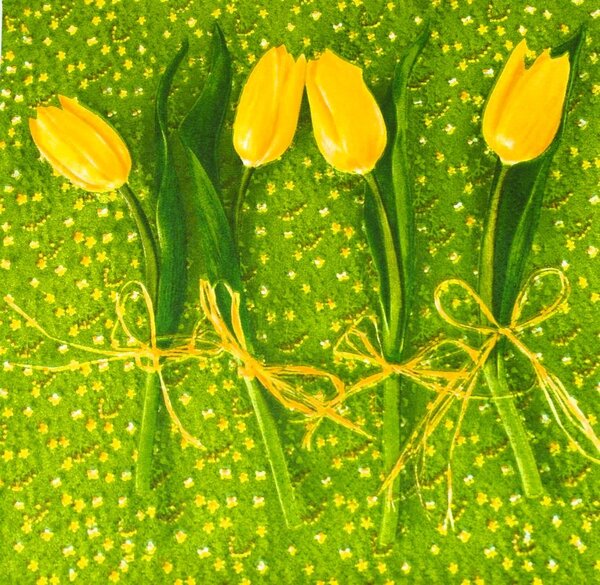 Ubrousky Žluté tulipány 3400388