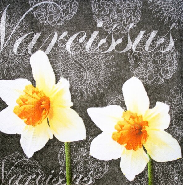 Ubrousky Narcisky 3400076