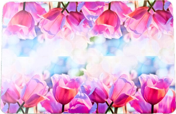 Prostírání plastové Tulipány 4ks/bal 1000605