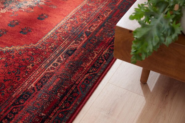 Dywilan Běhoun vlněný Omega Mistik Red červený Šíře: 83 cm