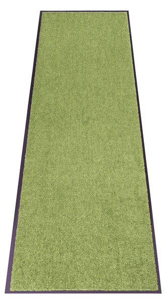Hanse Home, Rohožka Wash & Clean 101470 Green, 60x180, zelená, chodba / předsíň