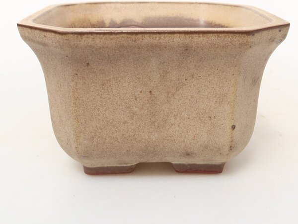 E-bonsai Keramická Skořápka 11,5 x 11,5 x 7 cm béžová